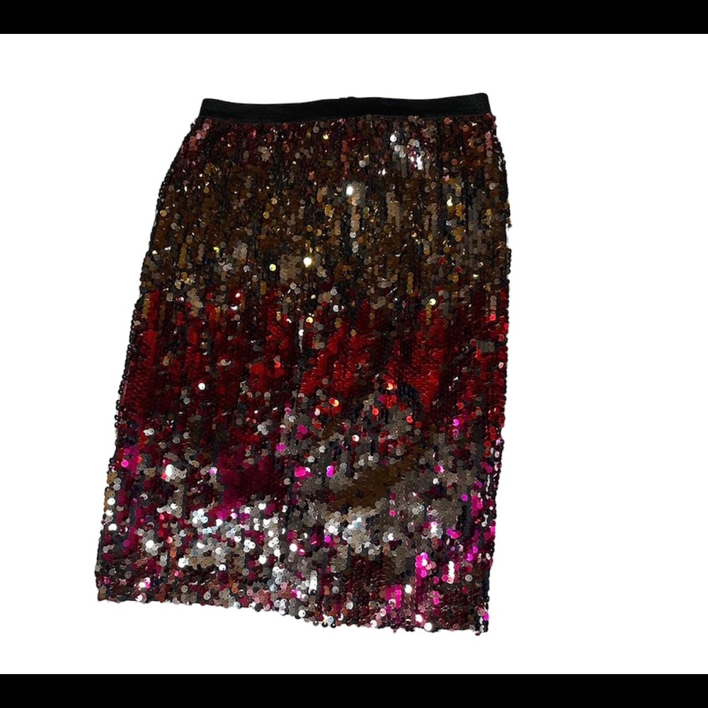 Sequin Skirt